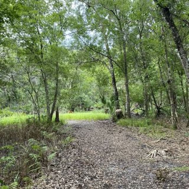 Town 'N Country Nature Preserve