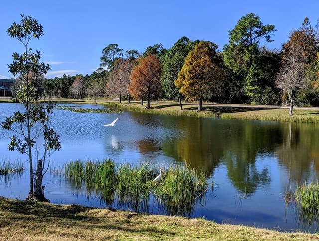 Eagle Nest Park