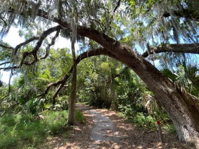 Sabal Bluff Preserve