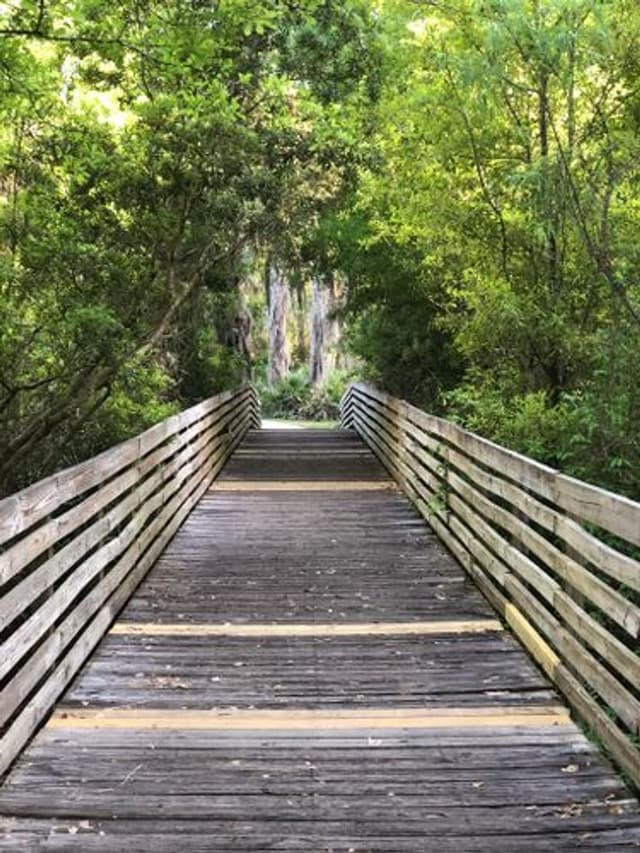 Cliff Stephens Park