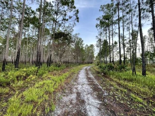 Isle of Pine Preserve