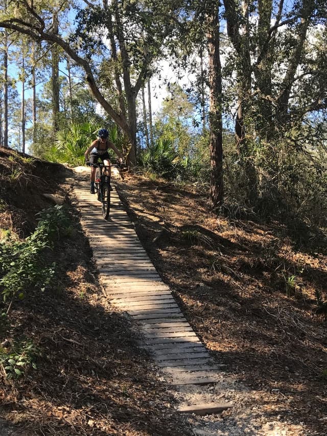 Graham Swamp East MTB Trailhead
