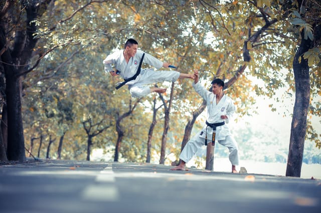 Martial Arts