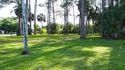 Silver Pines Park