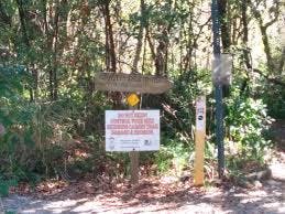 Mount Dora Trail