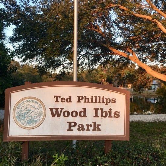 Ted Phillips Wood Ibis Park