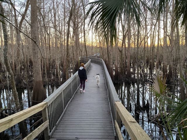 Black Bear Wilderness Trail Black Bear Wilderness Trail