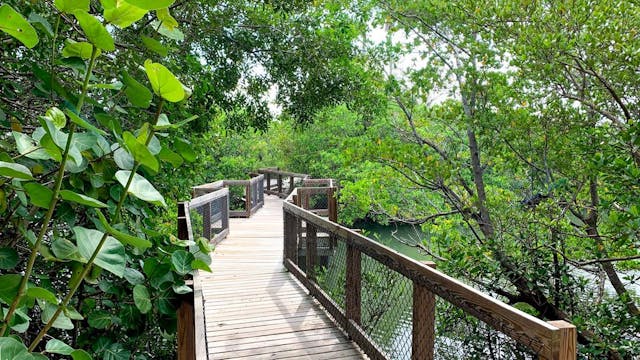 Clam Bayou Nature Park