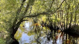 Little Manatee River Corridor Nature Preserve - Leonard Lee Trailhead