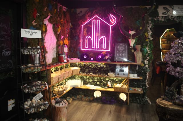 Holistic House Holistic House